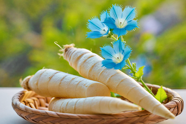 Prebiotics (Inulin · FOS · GOS)